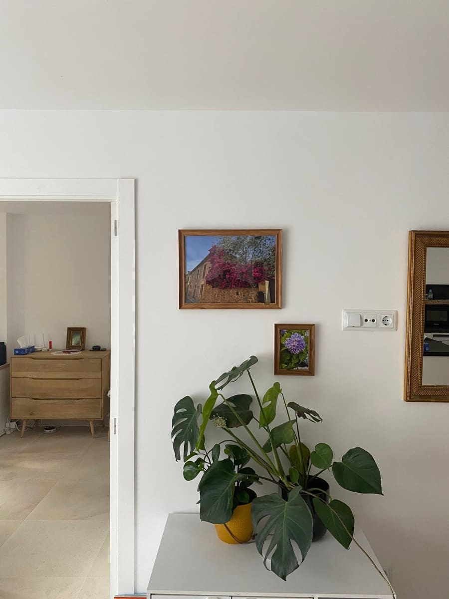 3 soveværelse Lejlighed til leje i Palma de Mallorca - € 1.700 (Ref: 9256362)