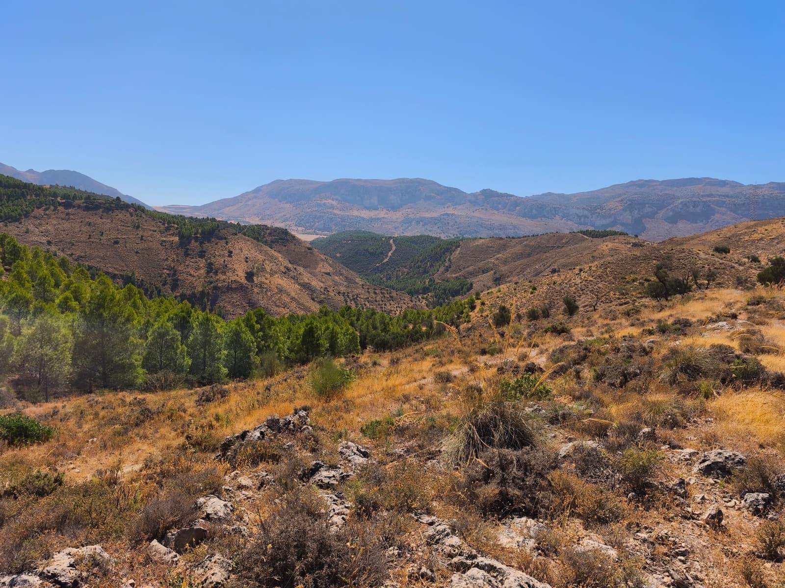 Hus til salgs i Antequera - € 359 000 (Ref: 9270555)