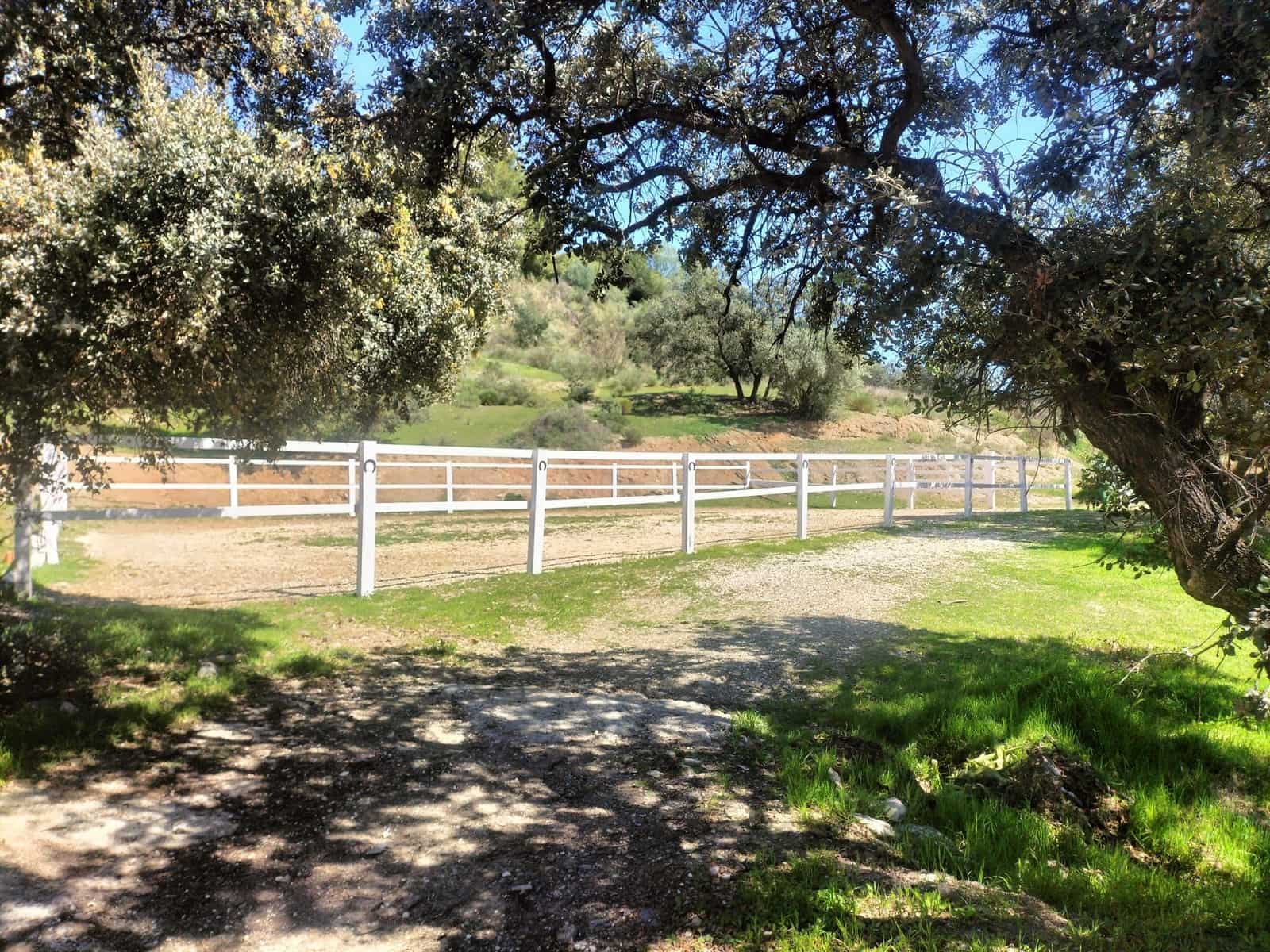 12 soveværelse Finca/Landehus til salg i Monda med swimmingpool - € 3.900.000 (Ref: 9301536)