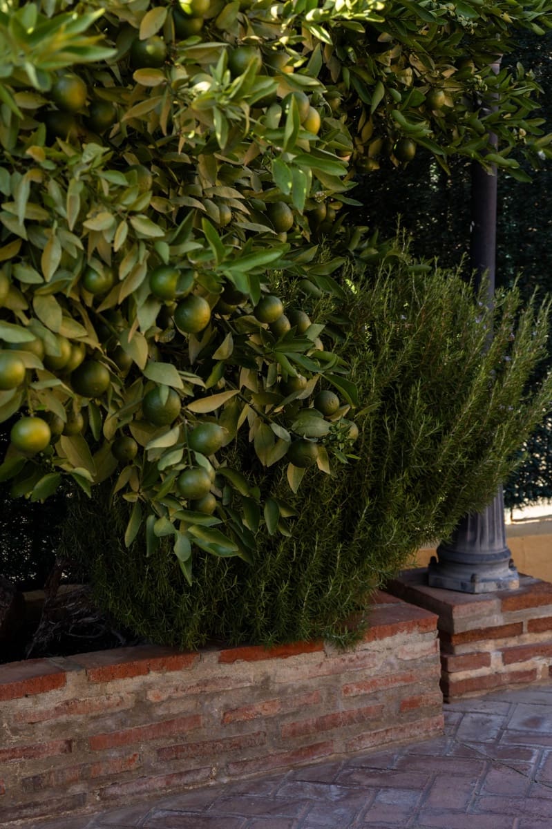 5 chambre Maison de Ville à vendre à Malaga ville - 995 000 € (Ref: 9301974)