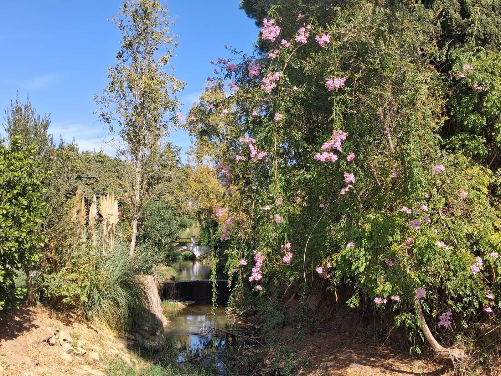 2 soverom Penthouse til salgs i Estepona med svømmebasseng - € 359 900 (Ref: 9330105)