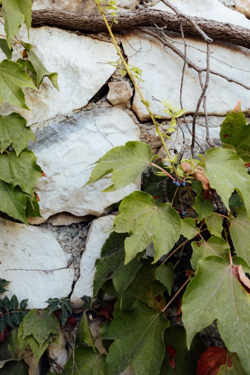 5 quarto Moradia para venda em Alhaurin de la Torre com piscina - 725 000 € (Ref: 9340104)