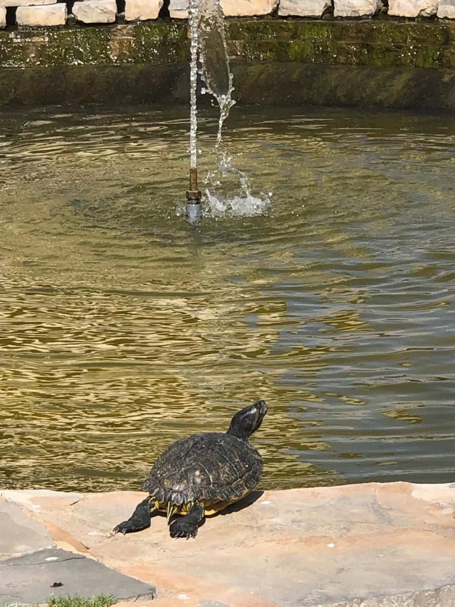 2 makuuhuone Huoneisto myytävänä paikassa Mijas Costa mukana uima-altaan - 395 000 € (Ref: 9348580)