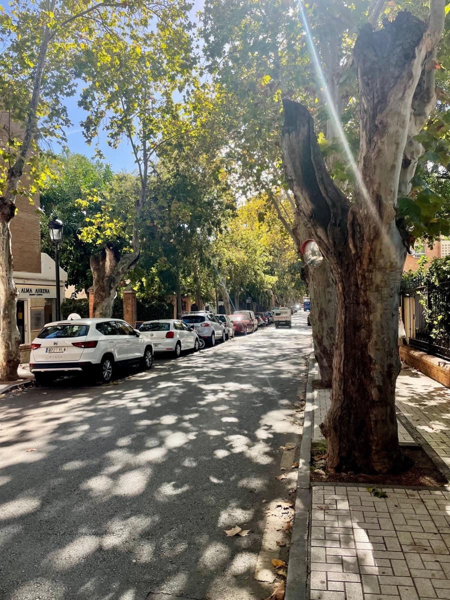 4 makuuhuone Huoneisto myytävänä paikassa Malaga kaupunki - 1 297 000 € (Ref: 9373968)