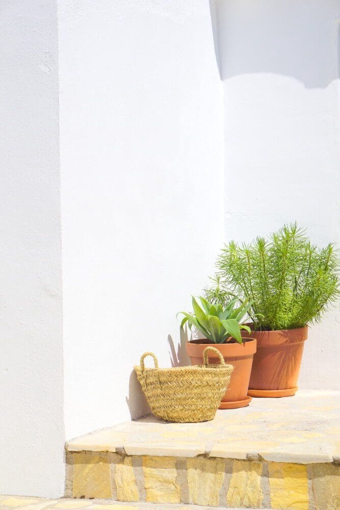 4 bedroom Finca/Country House for sale in Antequera - € 598,000 (Ref: 9386561)