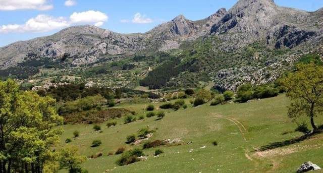 4 bedroom Finca/Country House for sale in Antequera - € 598,000 (Ref: 9386561)