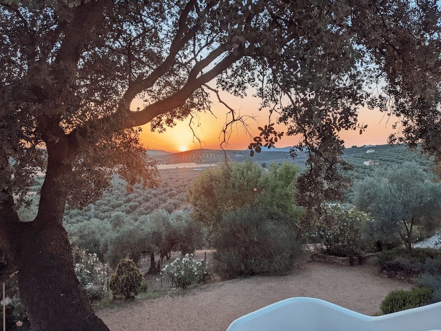 4 bedroom Finca/Country House for sale in Antequera - € 598,000 (Ref: 9386561)