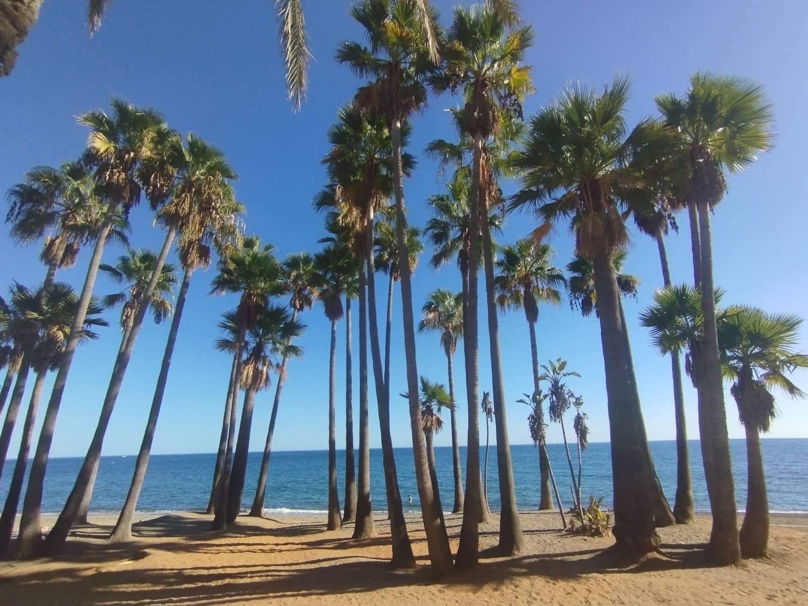 3 quarto Apartamento para venda em San Pedro de Alcantara com piscina - 769 000 € (Ref: 9396714)