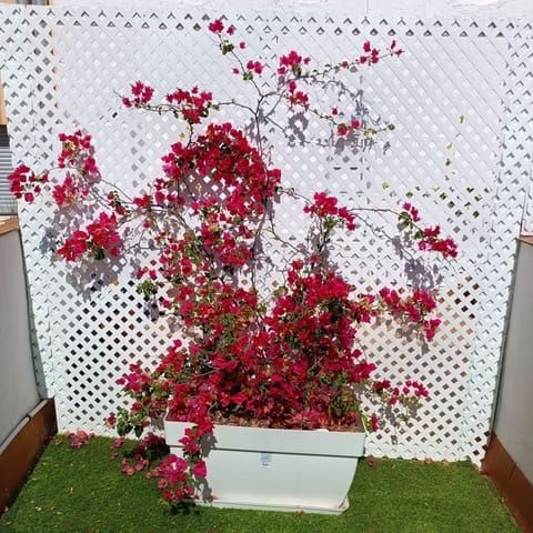 11 makuuhuone Omakotitalo myytävänä paikassa Málaga kaupunki - 3 500 000 € (Ref: 9401022)