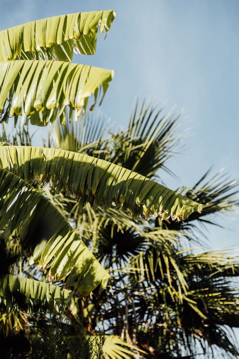 Dom na sprzedaż w Banyalbufar - 330 000 € (Ref: 9405890)