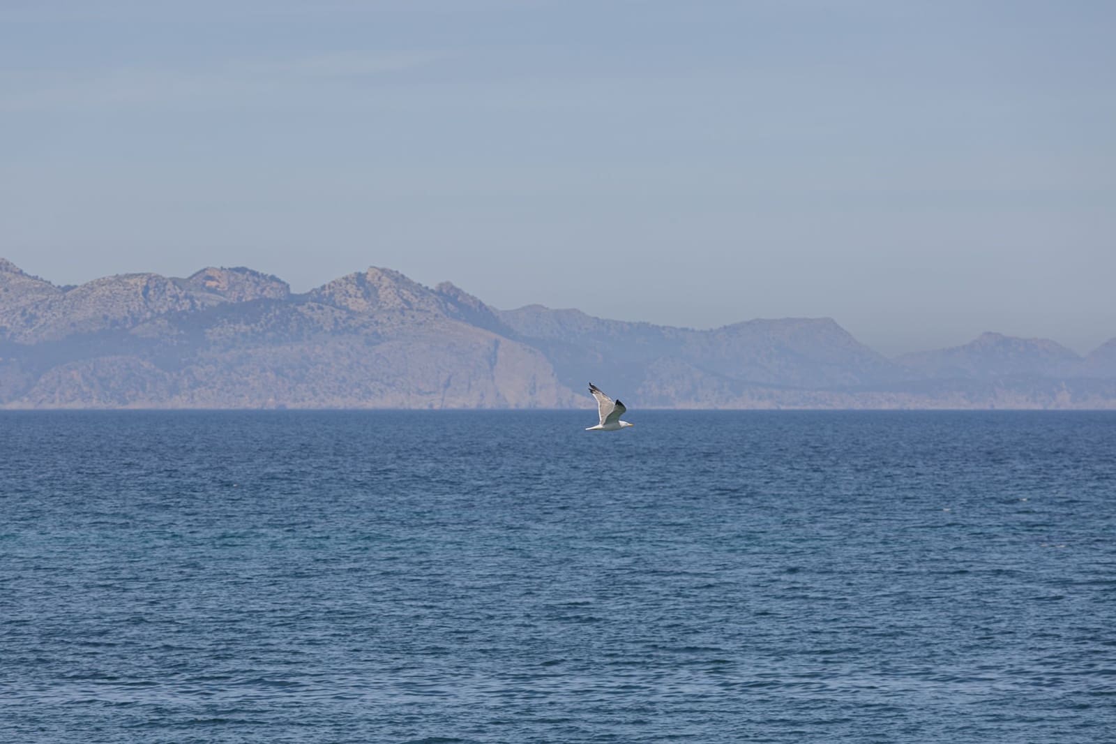 Dom na sprzedaż w Banyalbufar - 330 000 € (Ref: 9405890)