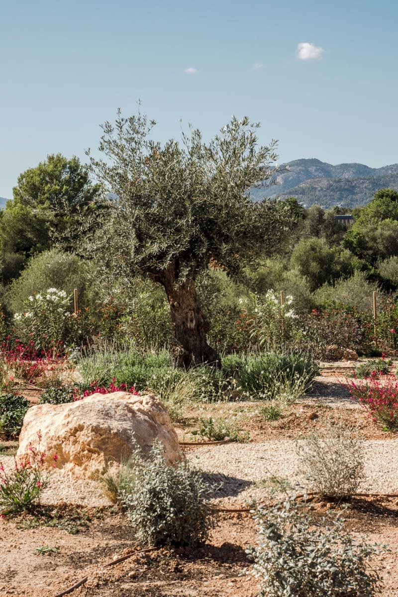 Dom na sprzedaż w Banyalbufar - 330 000 € (Ref: 9405890)