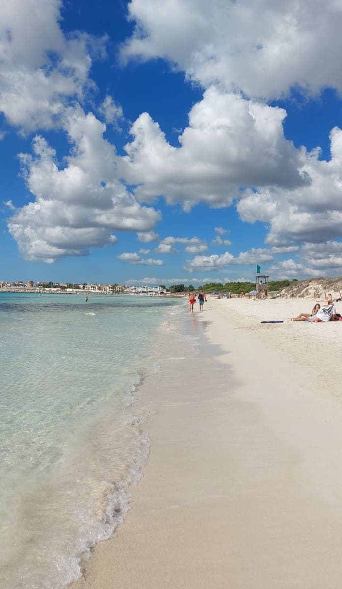 2 sovrum Hus att hyra i Campos med pool - 2 000 € (Ref: 9414939)