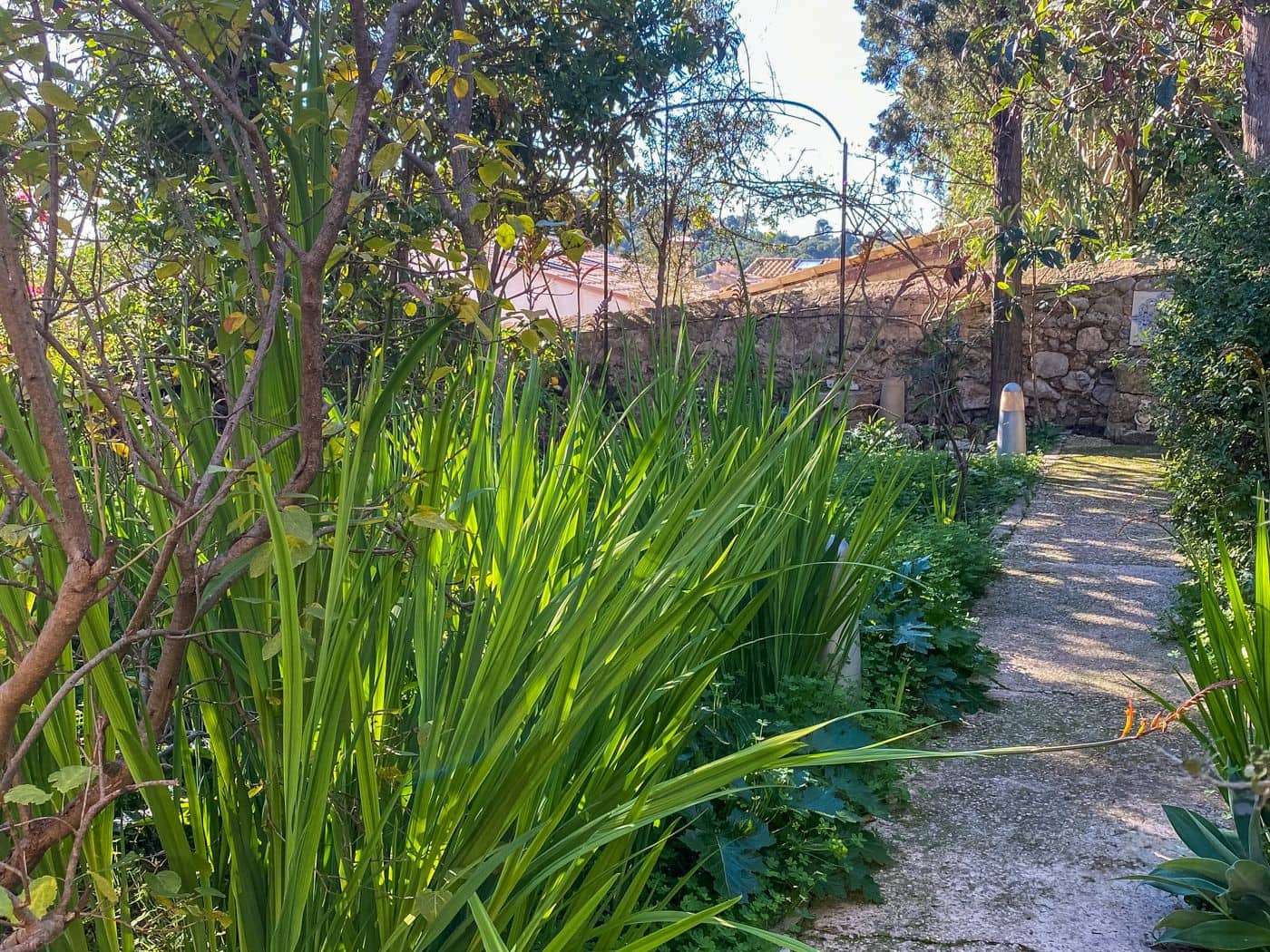 4 soveværelse Byhus til leje i Selva - € 2.950 (Ref: 9426607)