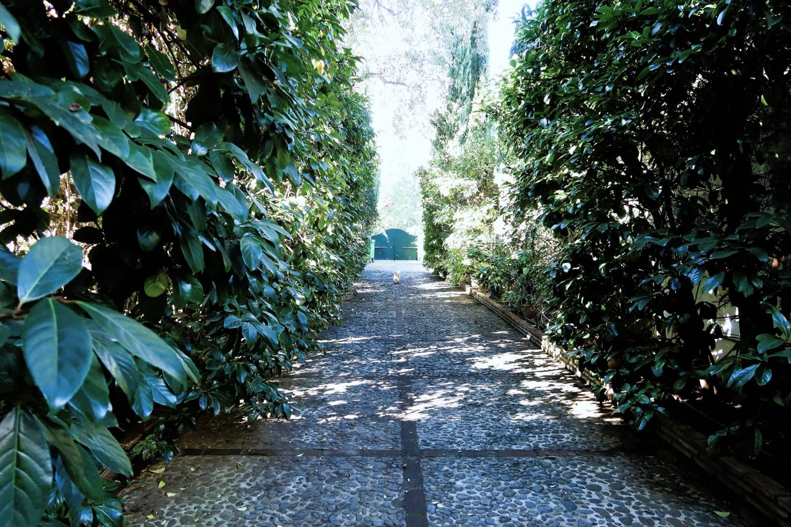 3 Zimmer Haus zu verkaufen in Sotogrande mit Pool - 1.850.000 € (Ref: 9461861)