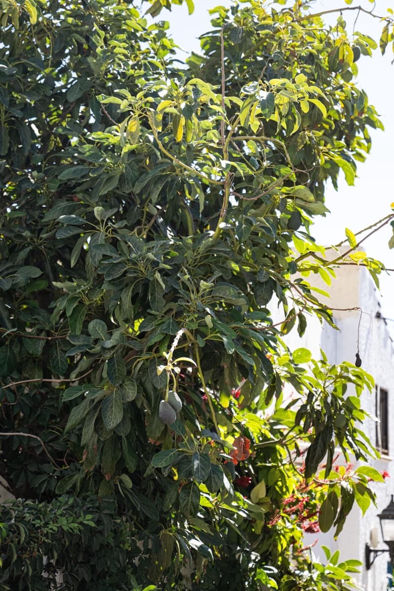 1 camera da letto Appartamento in vendita in Estepona - 229.000 € (Rif: 9469924)