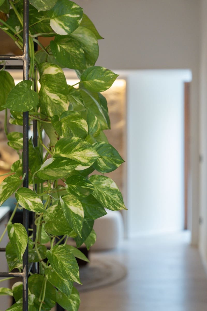 3 makuuhuone Omakotitalo myytävänä paikassa Palma de Mallorca - 1 390 000 € (Ref: 9495549)