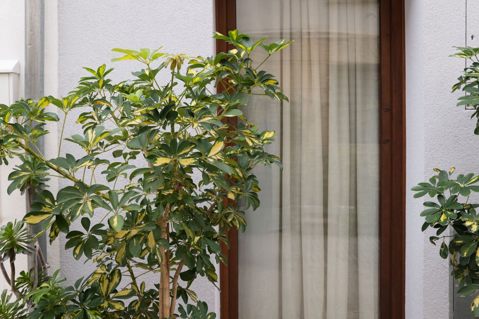 3 makuuhuone Omakotitalo myytävänä paikassa Palma de Mallorca - 1 390 000 € (Ref: 9495549)