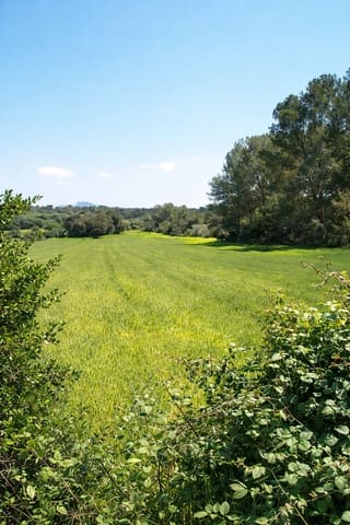 Haus zu verkaufen in Santa Margalida - 239.000 € (Ref: 9503081)