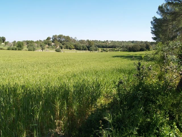 Haus zu verkaufen in Santa Margalida - 239.000 € (Ref: 9503081)