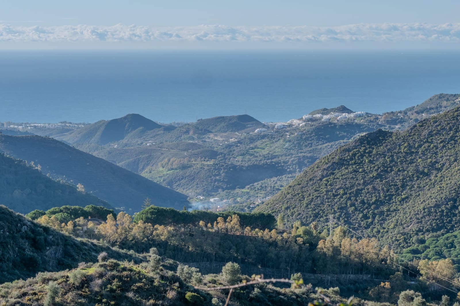 Haus zu verkaufen in Ojen - 775.000 € (Ref: 9538907)