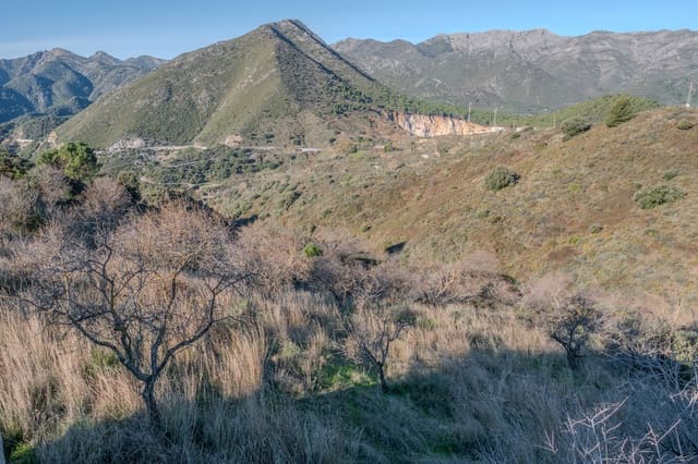 Haus zu verkaufen in Ojen - 775.000 € (Ref: 9538907)