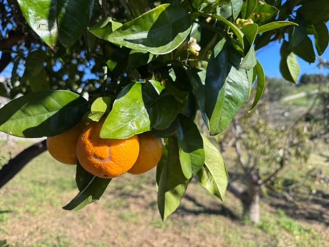 Hus till salu i Valtocado - La Alquería - La Atalaya, Mijas - 160 000 € (Ref: 9603457)