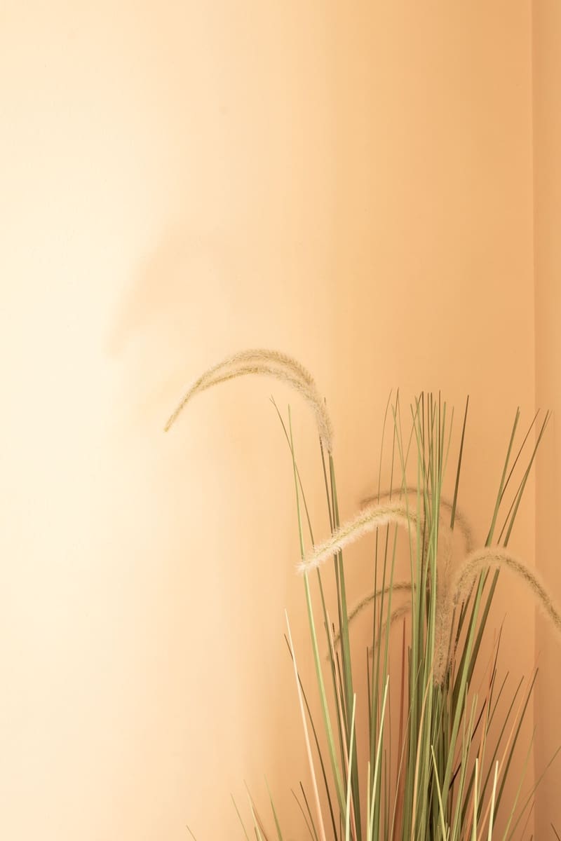 2 soveværelse Lejlighed til salg i Calvia med swimmingpool - € 539.000 (Ref: 9611890)