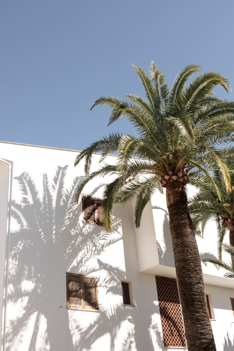 2 soveværelse Lejlighed til salg i Calvia med swimmingpool - € 539.000 (Ref: 9611890)