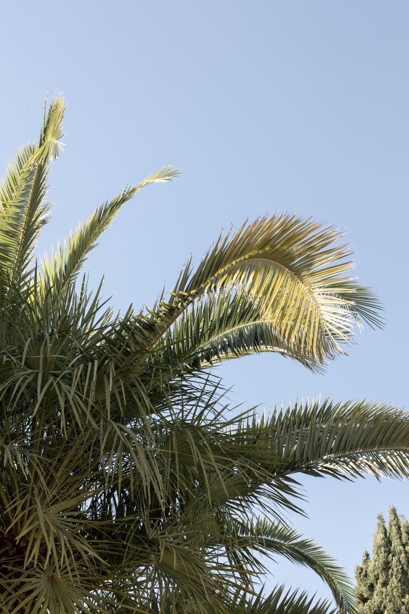 2 soveværelse Lejlighed til salg i Calvia med swimmingpool - € 539.000 (Ref: 9611890)