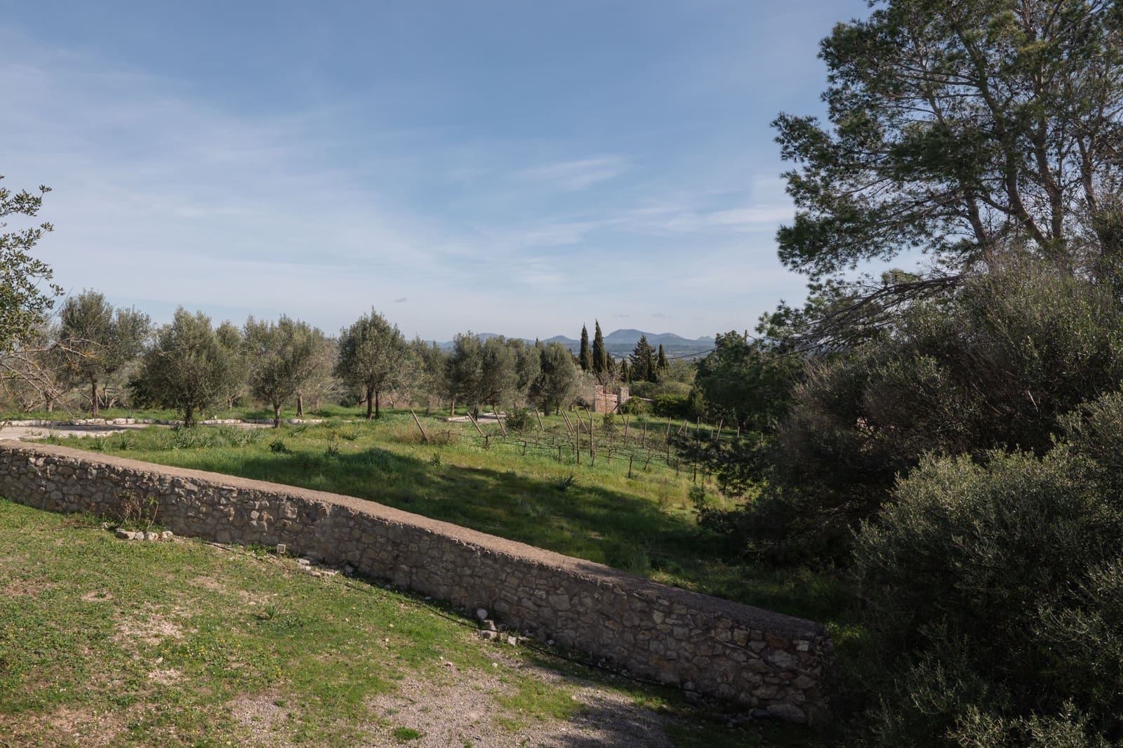 7 quarto Moradia para venda em Petra com piscina - 2 900 000 € (Ref: 9618610)