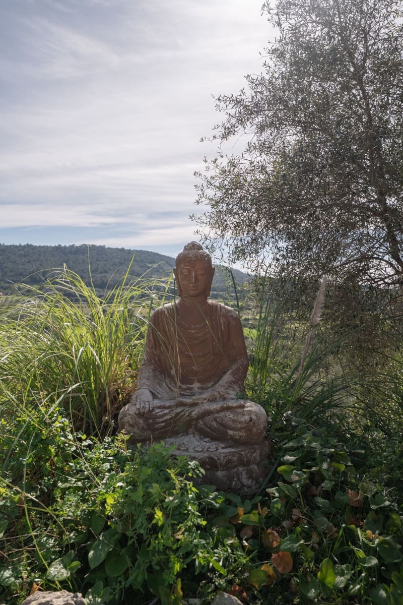 7 quarto Moradia para venda em Petra com piscina - 2 900 000 € (Ref: 9618610)