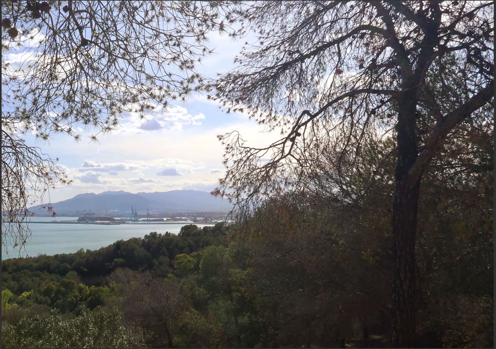 3 camera da letto Appartamento in vendita in Malaga citta con piscina - 2.255.000 € (Rif: 9635092)