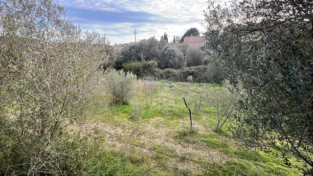 Byhus til salg i Galilea, Puigpunyent - € 190.000 (Ref: 9650442)