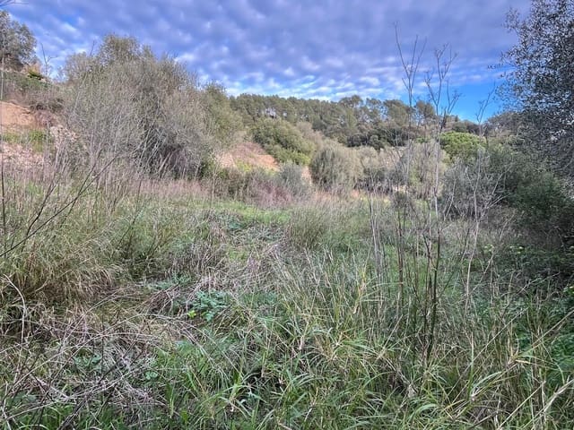 Casa en Galilea, Puigpunyent en venta - 190.000 € (Ref: 9650442)