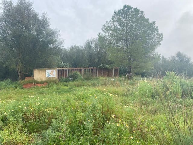 5 chambre Maison de Ville à vendre à Petra - 2 000 000 € (Ref: 9656963)