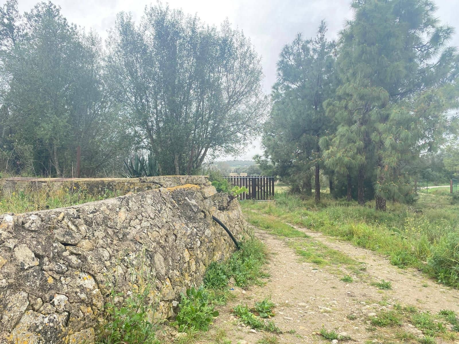 5 makuuhuone Omakotitalo myytävänä paikassa Petra - 2 000 000 € (Ref: 9656963)