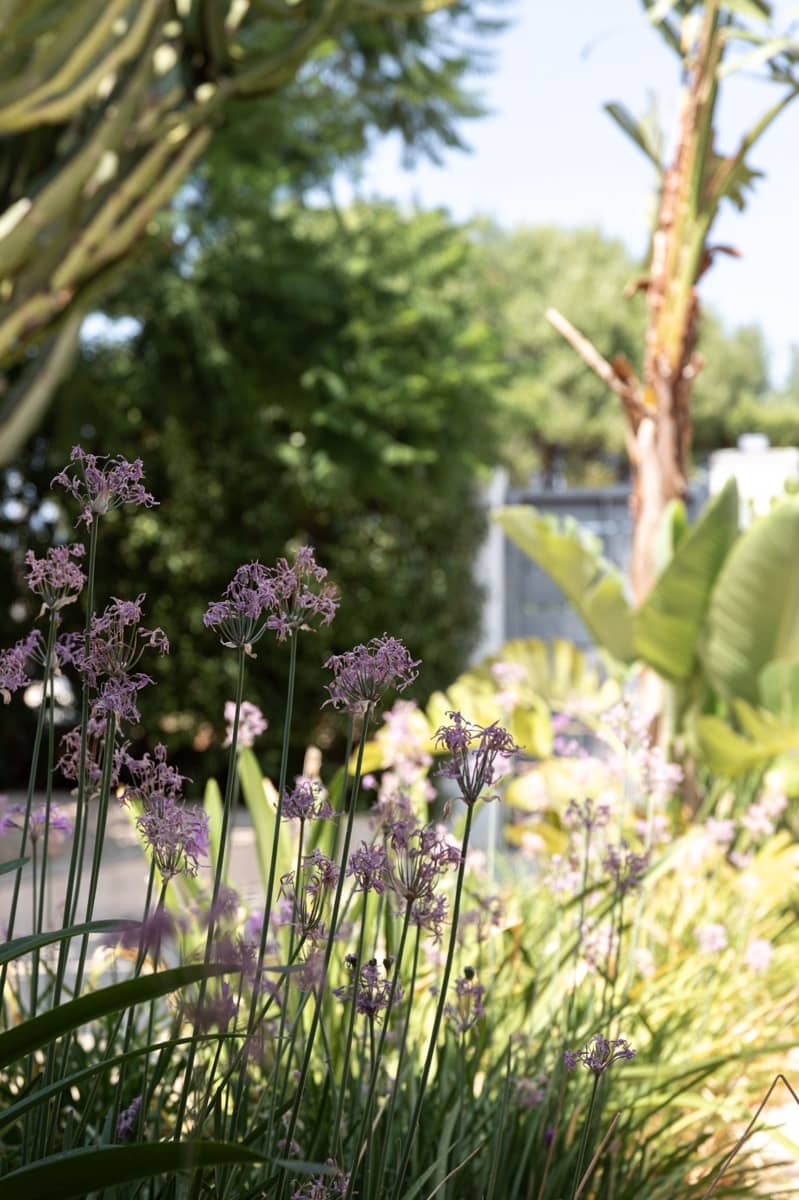 4 sovrum Hus till salu i Llucmajor med pool - 3 500 000 € (Ref: 9656964)