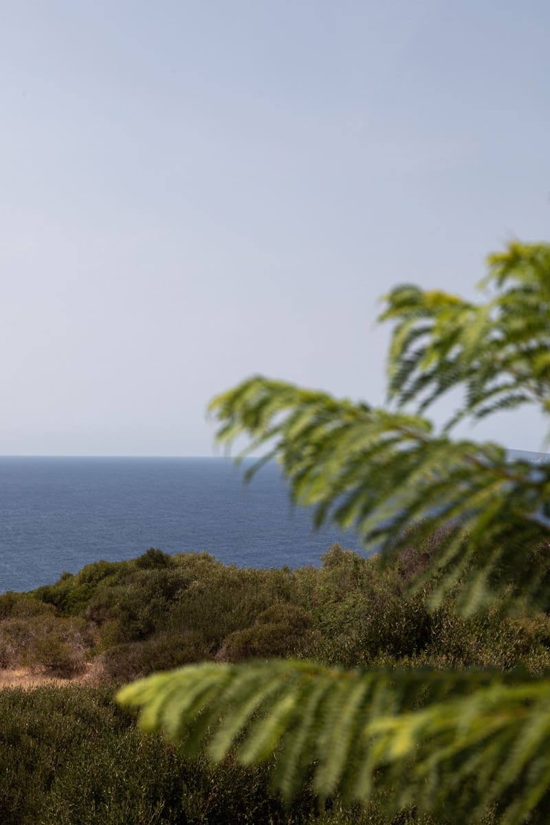 4 sovrum Hus till salu i Llucmajor med pool - 3 500 000 € (Ref: 9656964)