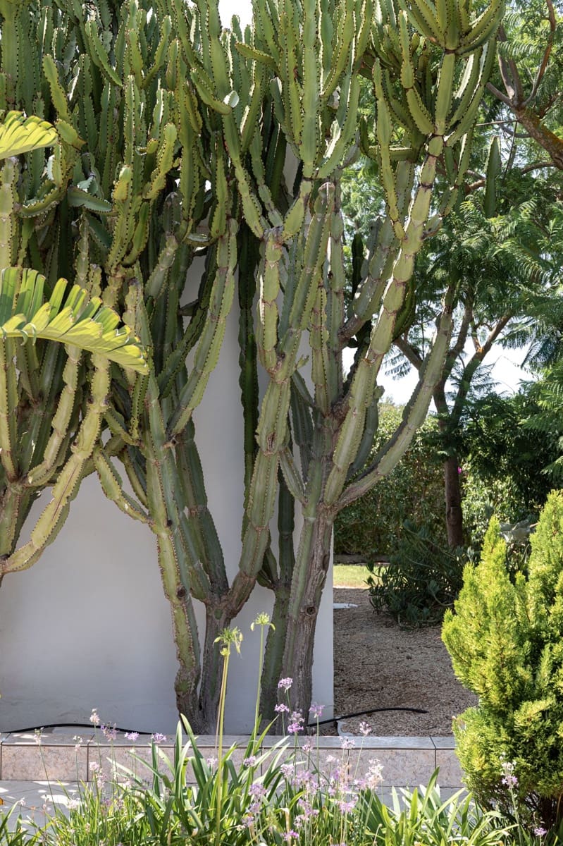 4 sovrum Hus till salu i Llucmajor med pool - 3 500 000 € (Ref: 9656964)