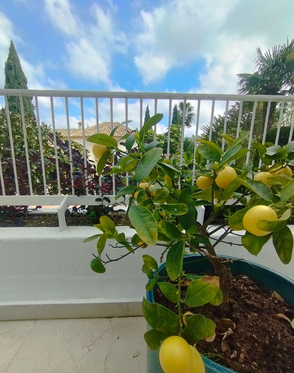 3 soveværelse Lejlighed til salg i Marbella med swimmingpool - € 1.375.000 (Ref: 9663256)