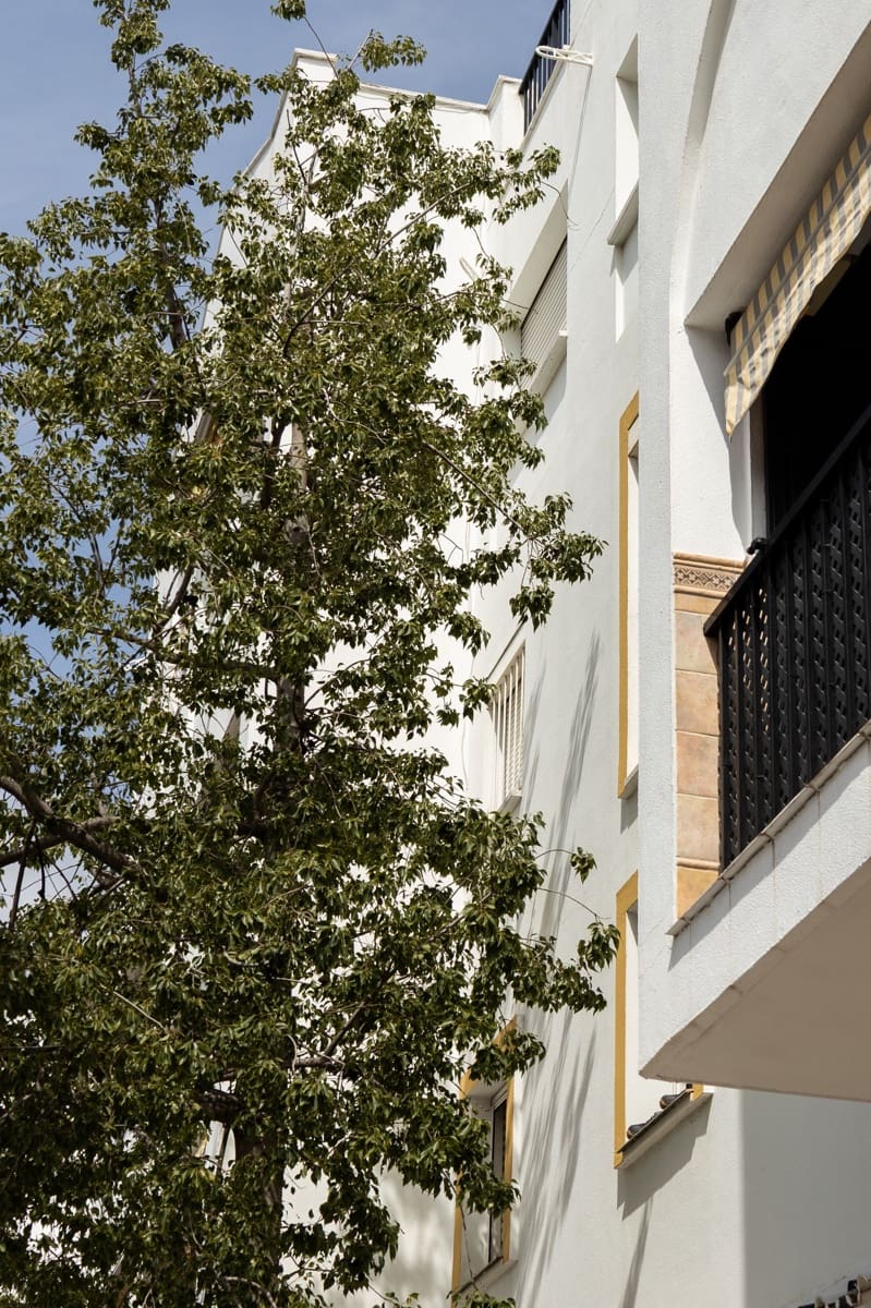 Gewerbe zu verkaufen in San Pedro de Alcantara - 265.000 € (Ref: 9702465)