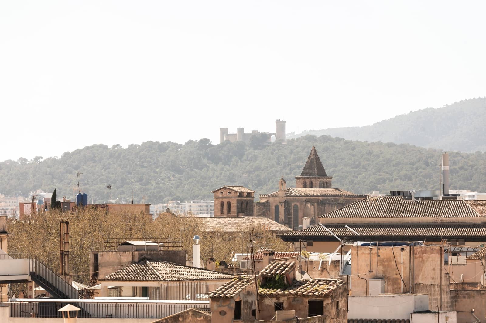 2 Zimmer Apartment zu verkaufen in Palma de Mallorca - 478.000 € (Ref: 9703323)