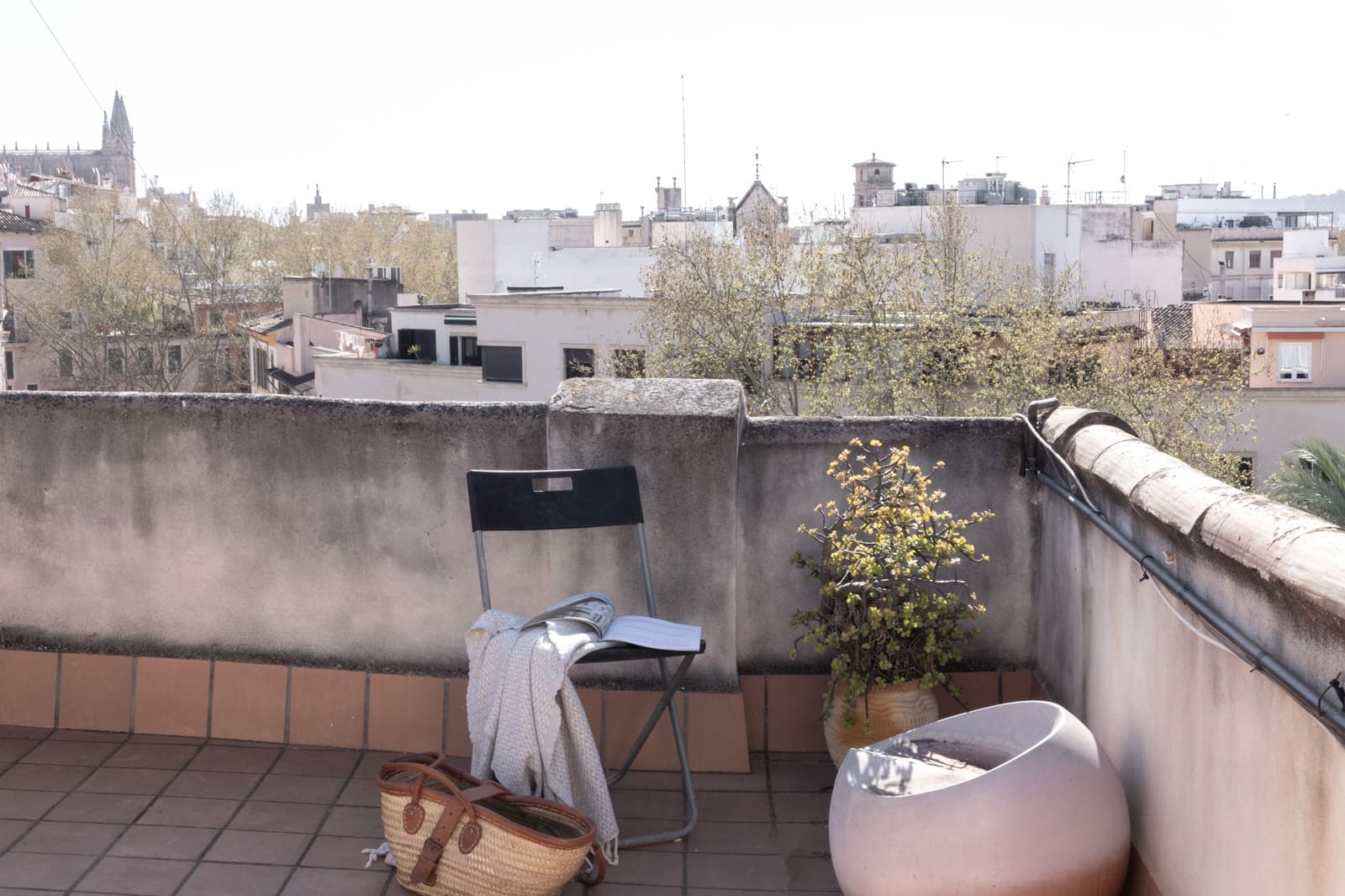 2 Zimmer Apartment zu verkaufen in Palma de Mallorca - 478.000 € (Ref: 9703323)