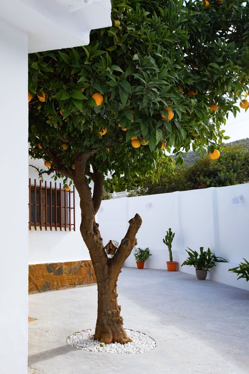 3 bedroom Townhouse for sale in Alhaurin de la Torre with pool - € 890,000 (Ref: 9713865)