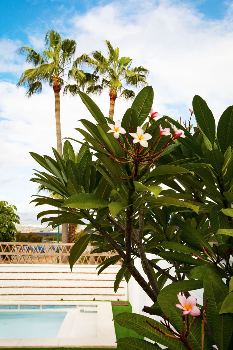 3 bedroom Townhouse for sale in Alhaurin de la Torre with pool - € 890,000 (Ref: 9713865)