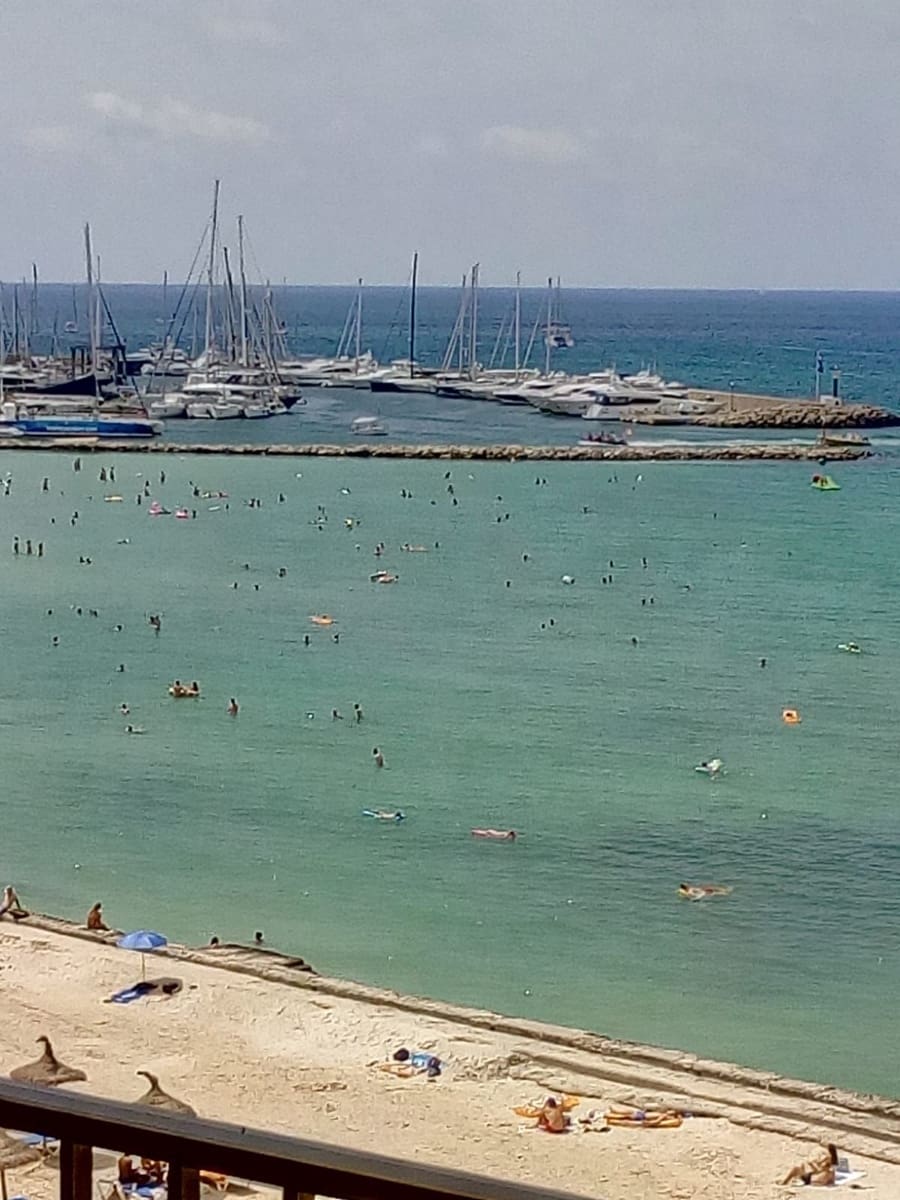 3 bedroom Apartment for rent in Palma de Mallorca - € 3,000 (Ref: 9716665)