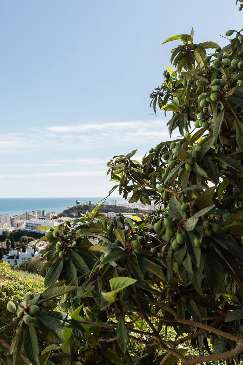 4 quarto Moradia para venda em Fuengirola com piscina - 1 295 000 € (Ref: 9720310)