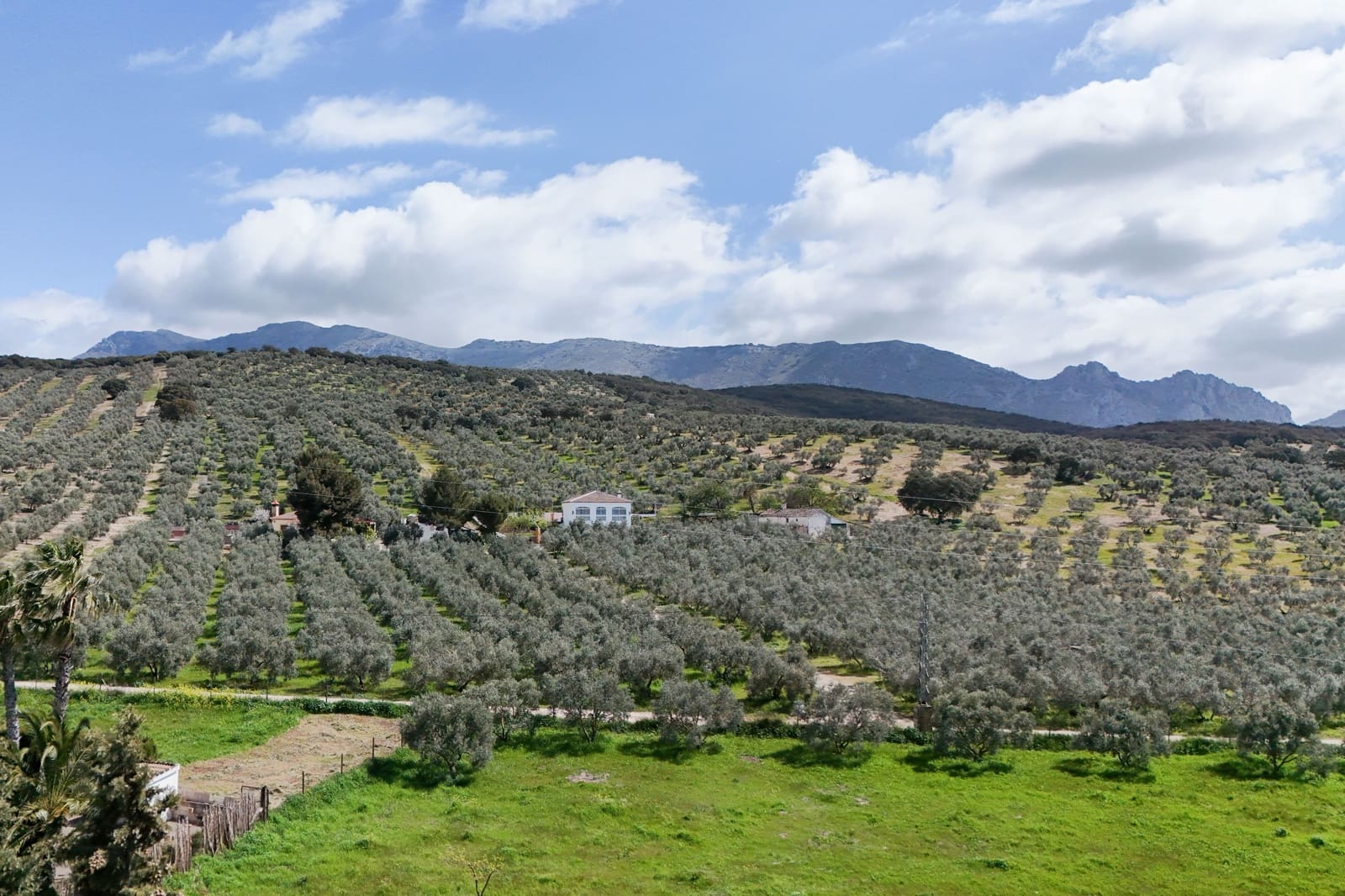 3 soverom Finca/Herregård til salgs i Antequera - € 179 000 (Ref: 9737357)