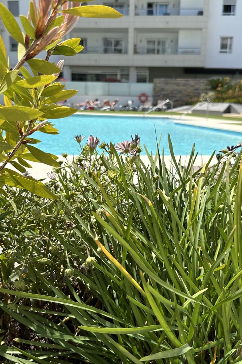 Penthouse for sale in San Pedro de Alcantara with pool - € 675,000 (Ref: 9751437)